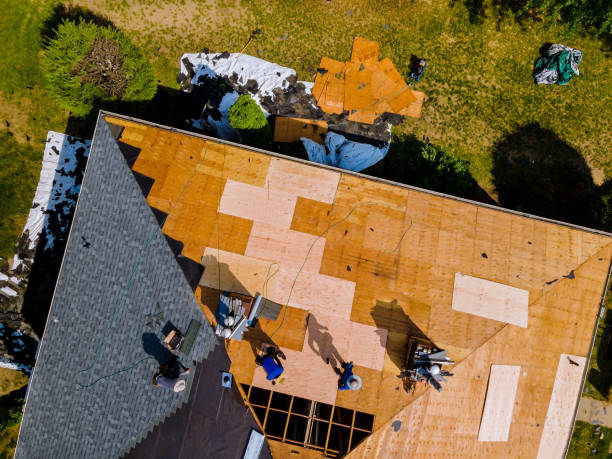 Best Residential Roofing Contractor  in Trafalgar, IN