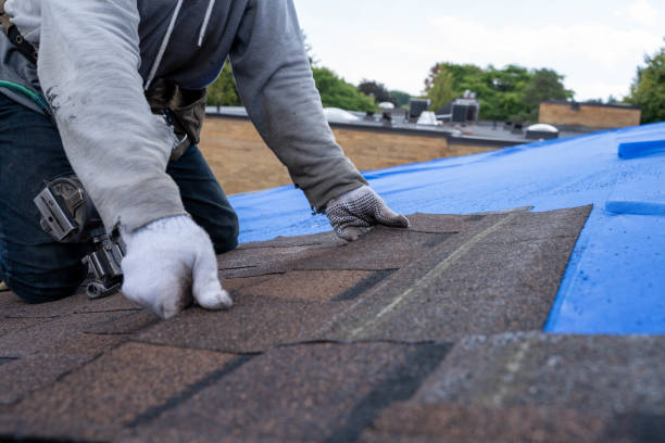 Best Residential Roofing Contractor  in Trafalgar, IN