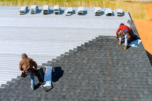 Best Roof Leak Repair  in Trafalgar, IN