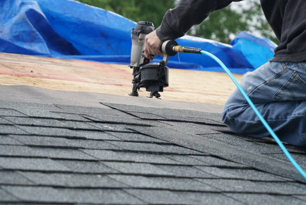 Best Shingle Roofing Installation  in Trafalgar, IN