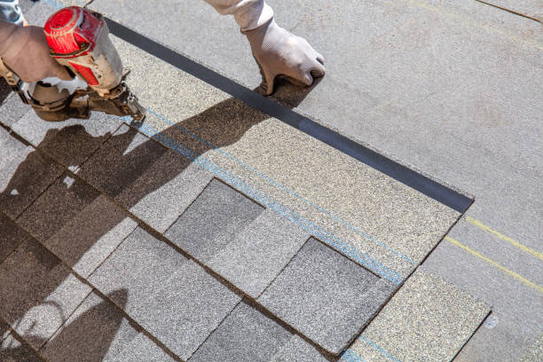 Best Roof Gutter Cleaning  in Trafalgar, IN